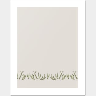 Crassula - String of buttons - trim Posters and Art